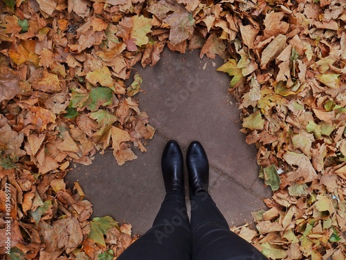 heartshape with leaves in a park of london