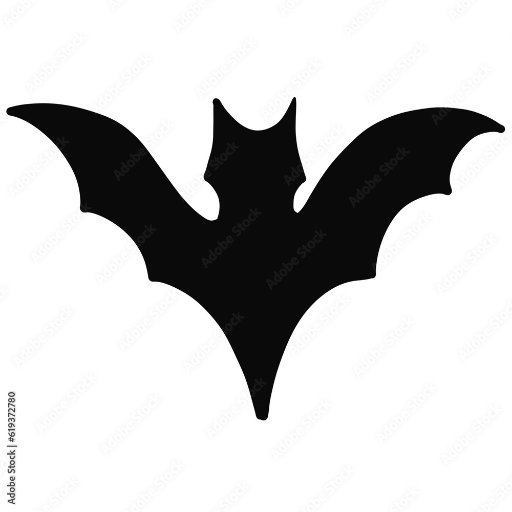 Fototapeta premium bat