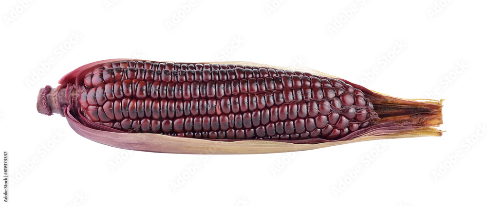 purple corn on transparent png