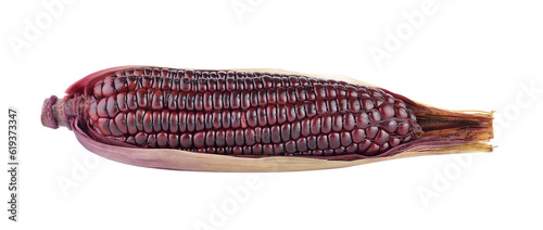 purple corn on transparent png