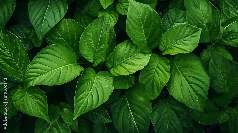 Green Leaves Natural Background, Generative Ai Green Leaves Natural Background, Generative Ai