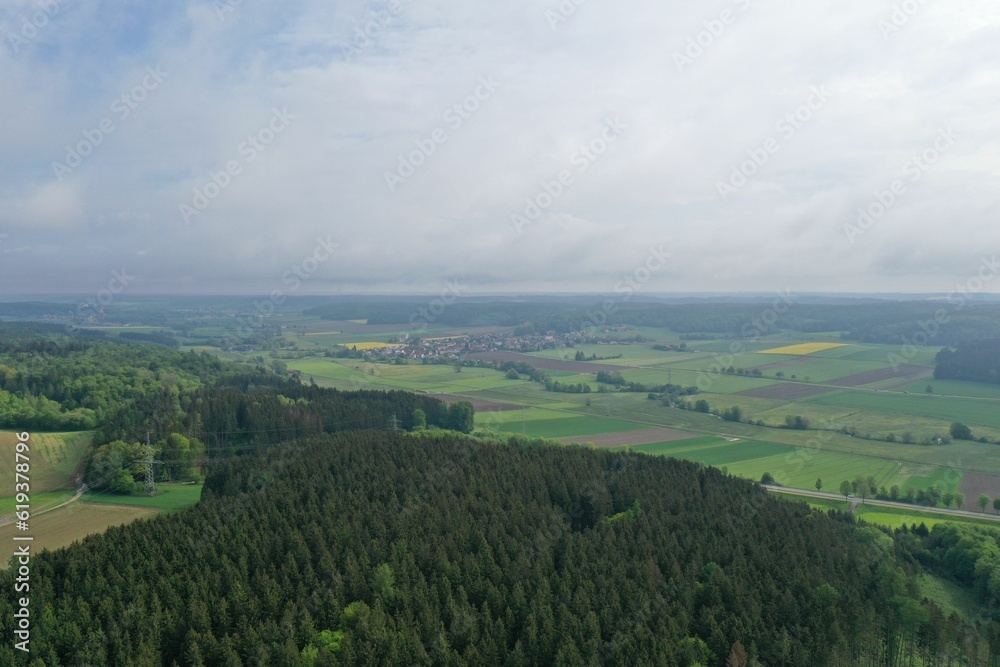Fototapeta premium Greenery field surrounded by trees