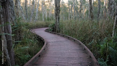 Handheld wide shot Melaleuca Boadwalk trail, Coombabah Lake Conservation Park, Gold Coast, Queensland photo
