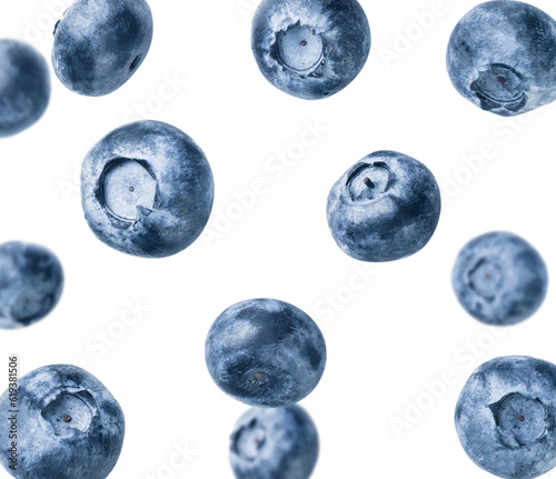 Blueberry flies close-up on a white background.