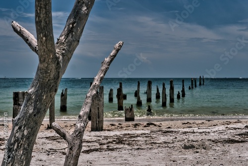 Beautiful view of dry tree branches and a pier on a beach, Gulf of Mexico © Mike Duff/Wirestock Creators