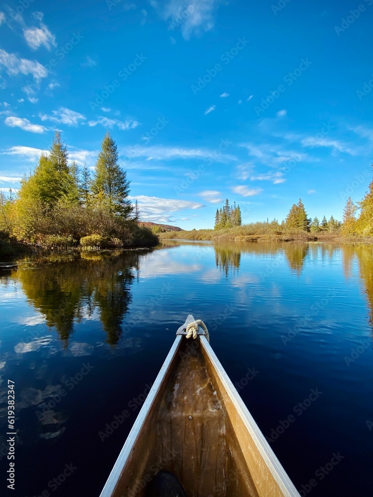 Vertical shot of a boat in a lake surrounded by trees and greenery