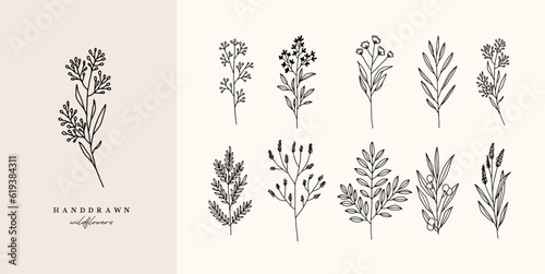 wildflowers flowers hand drawn wild flower wild garden flower for organic logo or  floral herbs