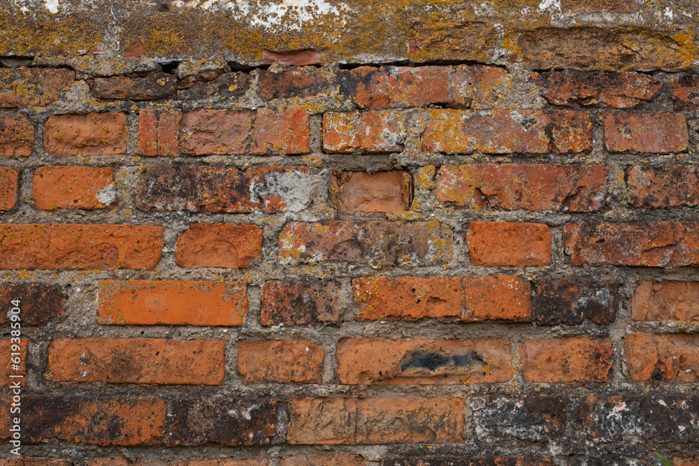 Fototapeta premium Red old brick wall, industrial texture.