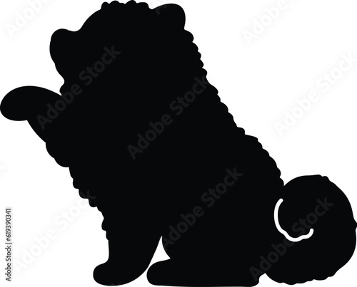 Silhouette of Pomeranian shaking hands