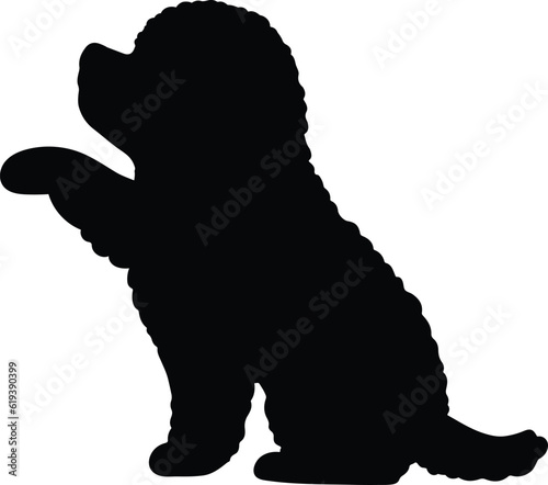 Silhouette of Toy Poodle shaking hands
