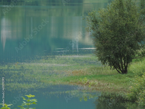 Tranquil water with green grass and a bush on the shore. Lake Urkullu  Aretxabaleta  Gipuzkoa.