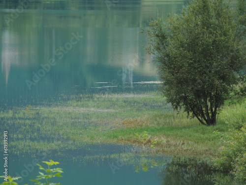 Tranquil water with green grass and a bush on the shore. Lake Urkullu, Aretxabaleta, Gipuzkoa. photo