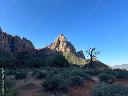Принти на полотні Aerial view of the Zion National Park in Utah,