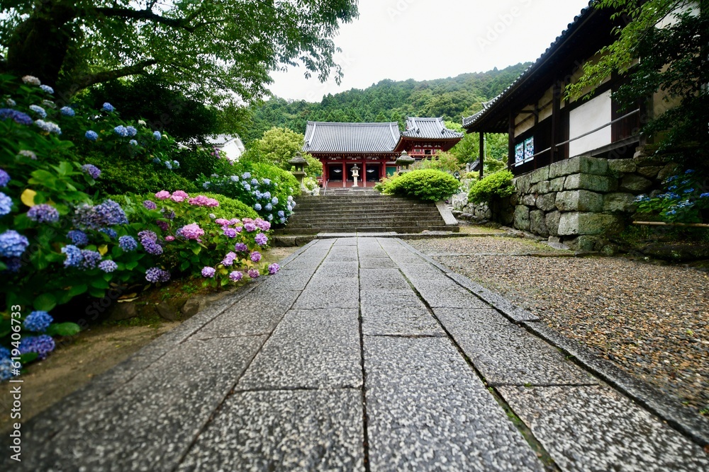 日本の奈良のアジサイ寺の矢田寺