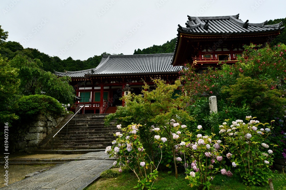 日本の奈良のアジサイ寺の矢田寺