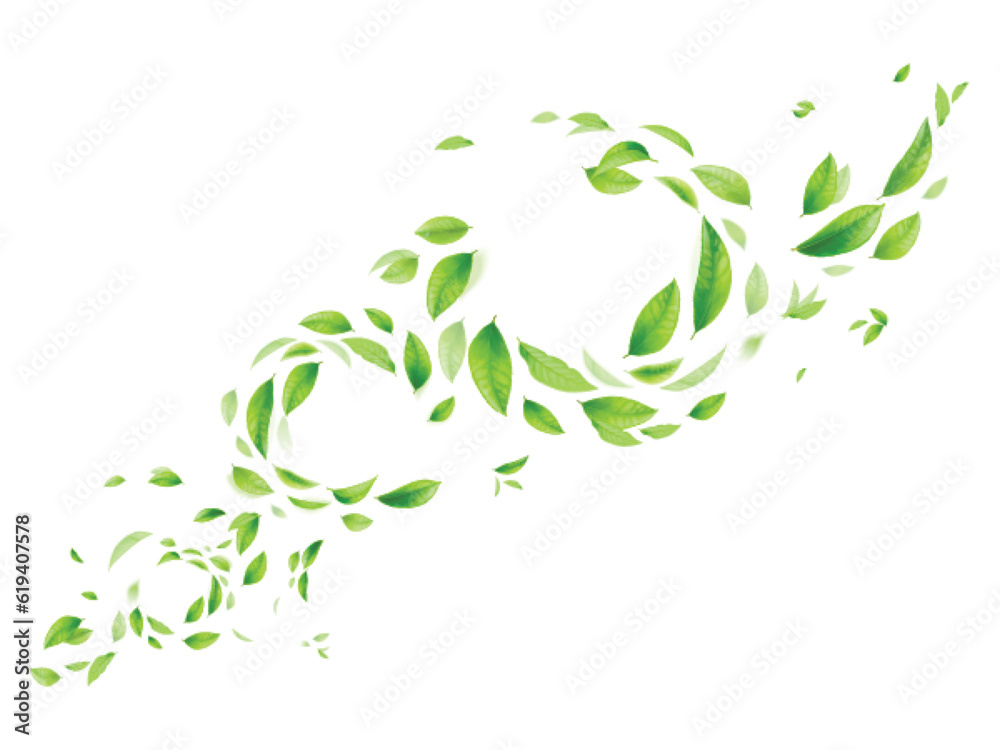 Realistic flying foliage. Natural falling of green leaves or leaf fly on air stream with blurry effect, summer forest vortex wind fresh herbal greenery, exact vector illustration Realistic flying foliage. Natural falling of green leaves or leaf fly on air stream with blurry effect, summer forest vortex wind fresh herbal greenery, exact vector illustration