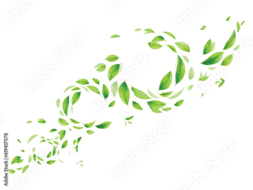 Realistic flying foliage. Natural falling of green leaves or leaf fly on air stream with blurry effect, summer forest vortex wind fresh herbal greenery, exact vector illustration