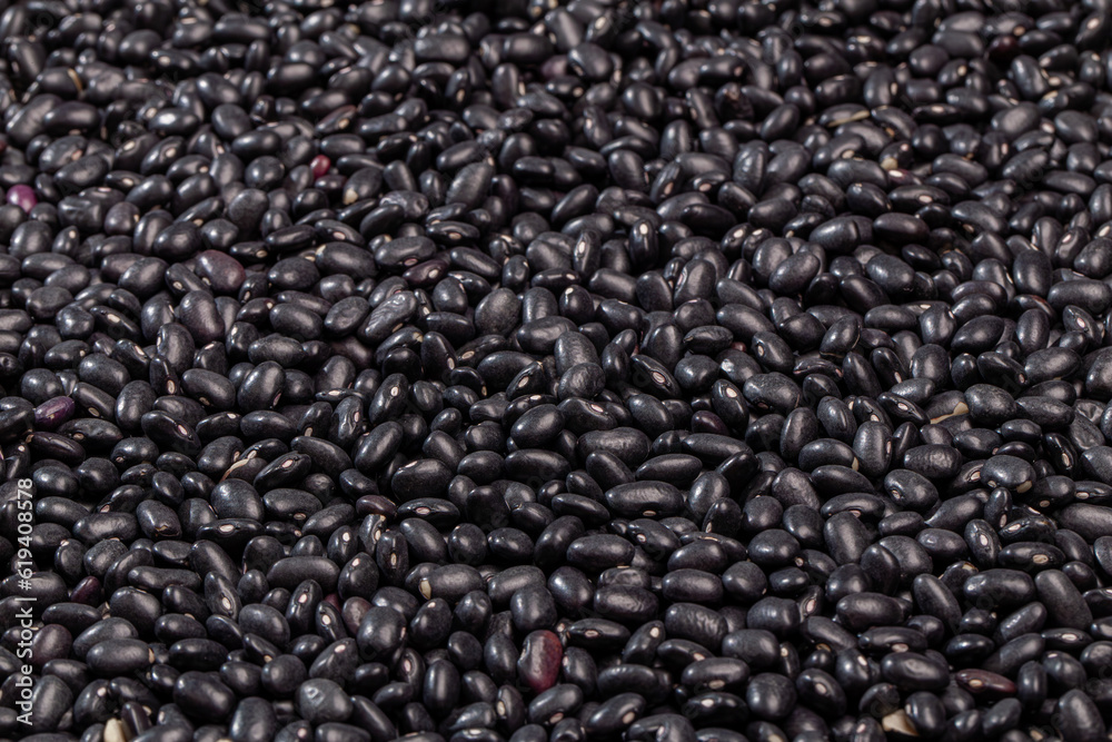 Black turtle bean - is a small, shiny variety of the common bean. Black turtle bean - is a small, shiny variety of the common bean.