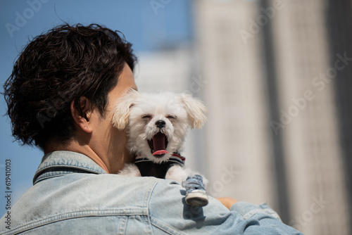 欠伸をする愛犬 photo