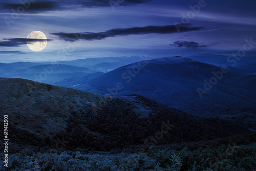 summer landscape at night. coniferous forest at the foot of Bald Mountain in full moon light © Pellinni