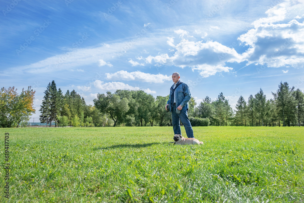 a man walks with a pug in the park on the lawn on a warm sunny day a man walks with a pug in the park on the lawn on a warm sunny day