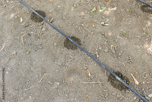 saving irrigation, drip system irrigation, preventing water waste in agriculture,