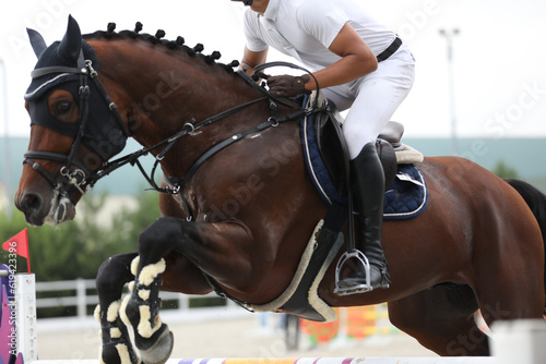 horse and rider on a horse in show jumping competition