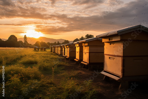 A small apiary with wooden beehives at sunset. Beekeeping.