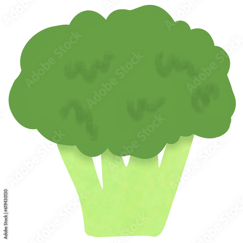 Drawing of broccoli isolate...