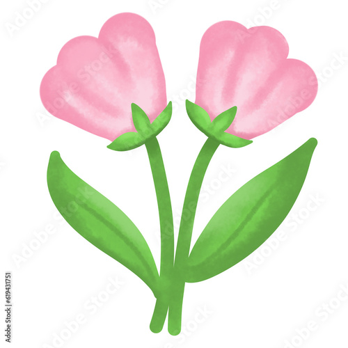pink tulip with green leaf