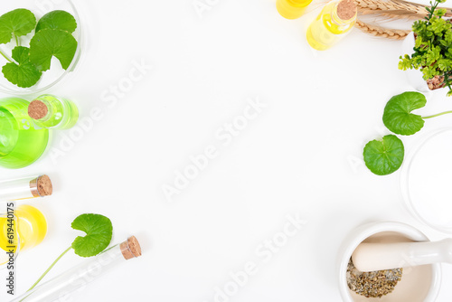 Top view on table centella asiatica leaves with isolated on white background