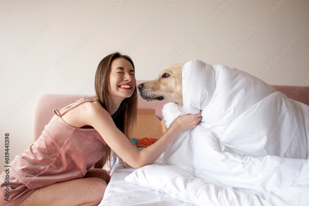 girl lies in bed and hugs golden retriever dog, the dog licks the owner, the woman loves pets