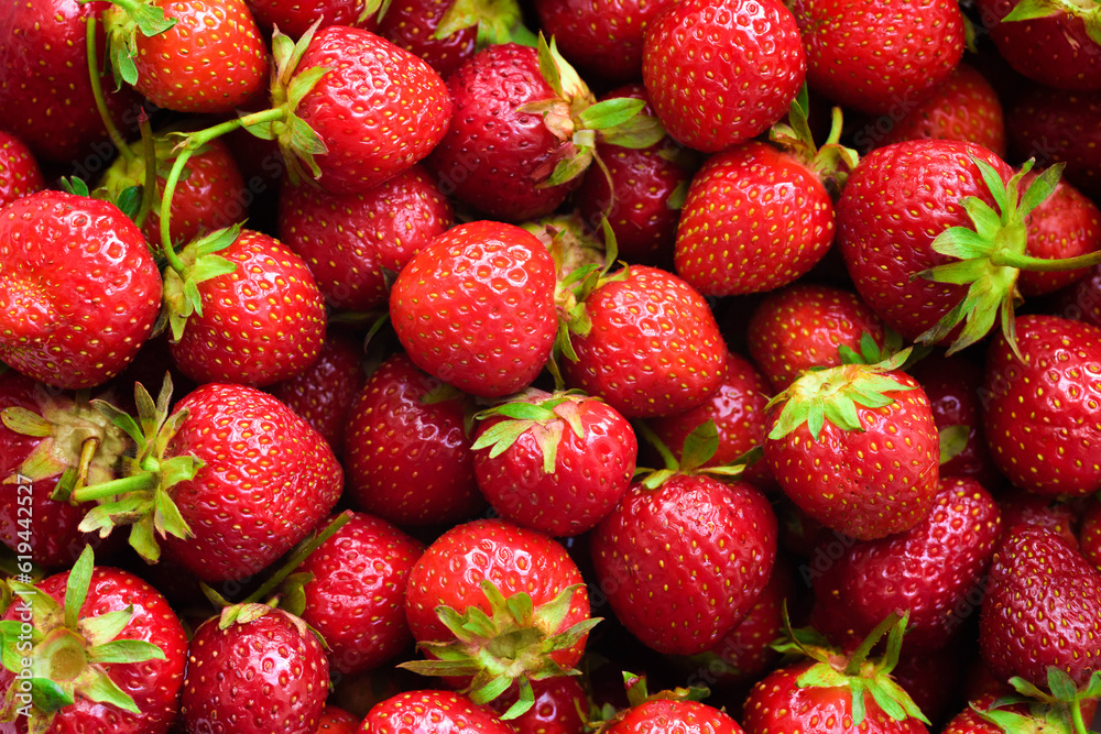 Harvest of ripe red strawberries in the market. Harvest of ripe red strawberries in the market.