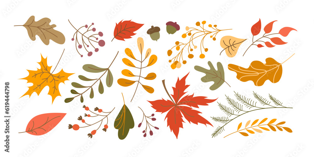 Fototapeta premium Vector set of leaves cartoon style. Autumn leaves and berries collection, isolated on white background