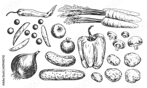 Set of vegetables sketches. Black and white collection of vegetables. Paprika, tomatoes, champignon, peas pod, cucumber, carrots, potatoes, chilli. Food drawn with hatching.