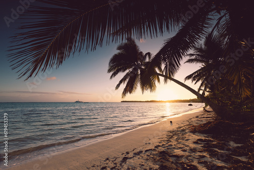 Tropical island beach with palm trees on the Caribbean Sea shore at sunrise © ValentinValkov