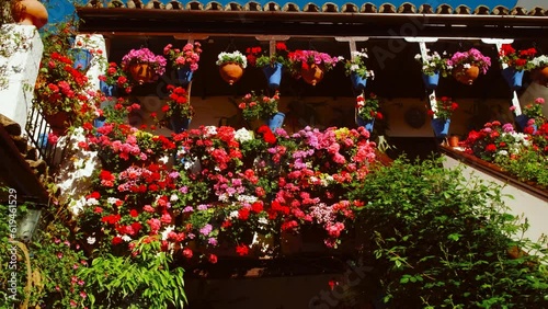 Patios Cordobeses, Cordoba, Andalusia, Spain, traditional courtyards adorned with vibrant flowers and plants reflecting local culture photo