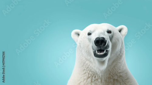 Polar Bear Looking at the Camera. Solid color background with empty space for text. Web Banner template. Generative AI