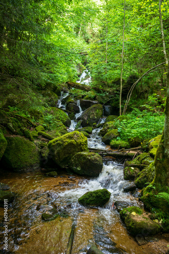 Waterfall in the valley ysperklamm in the lower austrian region waldviertel