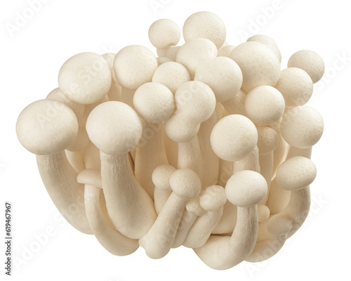 Shimeji mushroom, white beech mushrooms, isolated on white background, full depth of field