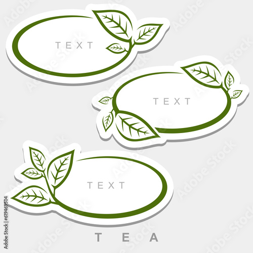 Green tea leaves set. Collection green tea leaves frame. Vector