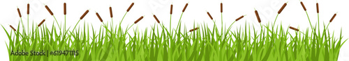 Grass with cattail clipart