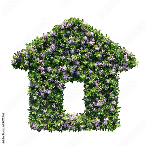 Eco home icon create from Mountain Laurels plant, Concept of ecology environmentally friendly and help preserve nature with isolated on transparent background. PNG file, 3D rendering illustration photo