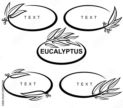 Eucalyptus set. Collection eucalyptus leaves frame. Vector