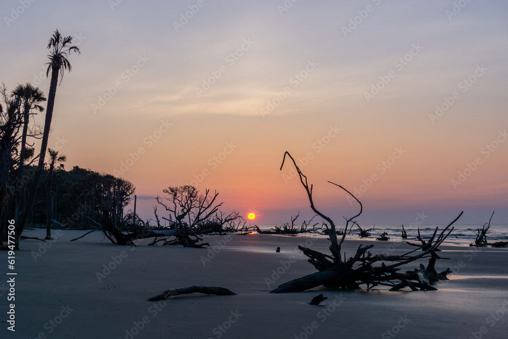 sunrise with sun low over the horizon on a beach with dead trees and driftwood