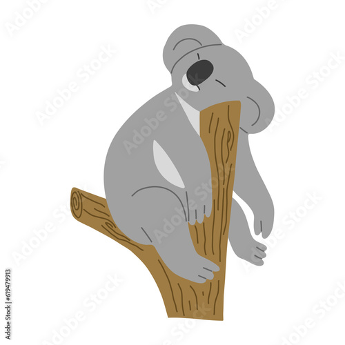 Photography Koala Single 15 PNG