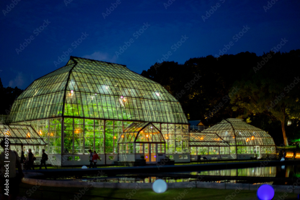 Fototapeta premium ナイトzoo植物園