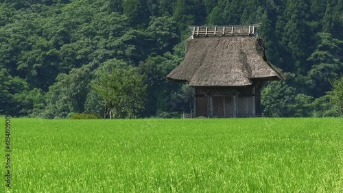 Japanese rice field and temple-02 photo