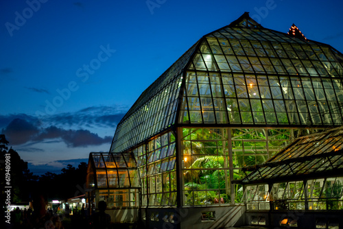 ナイトzoo植物園