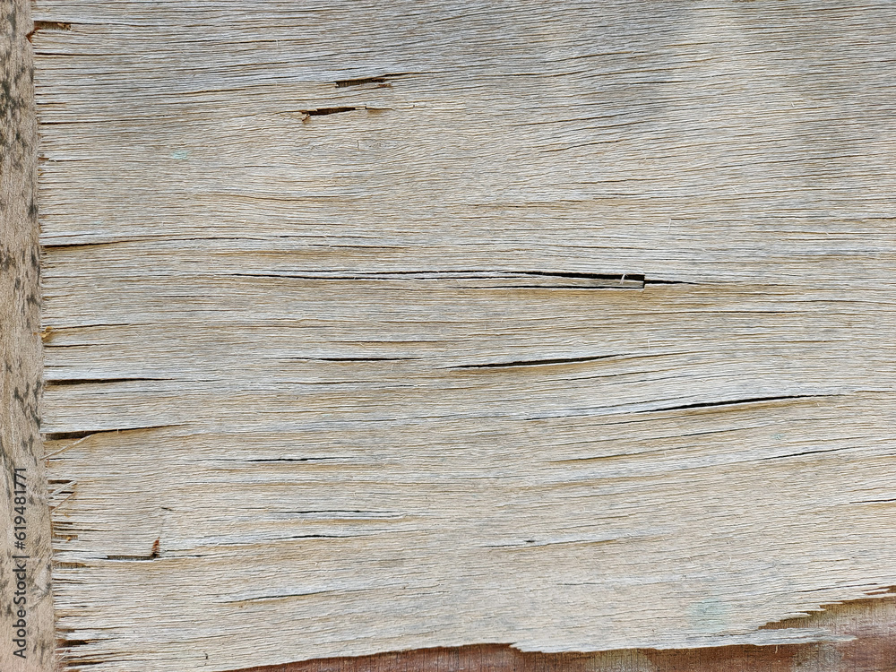 Old wood grain texture background Stock Photo Adobe Stock